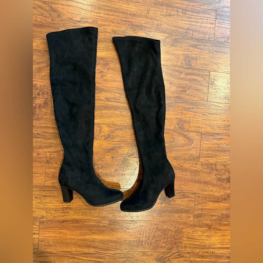 Rapisardi by Ron White Suede  Over the Knee Boots